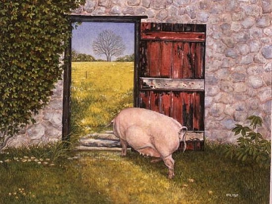 The Ware Farm Pig from Ditz 
