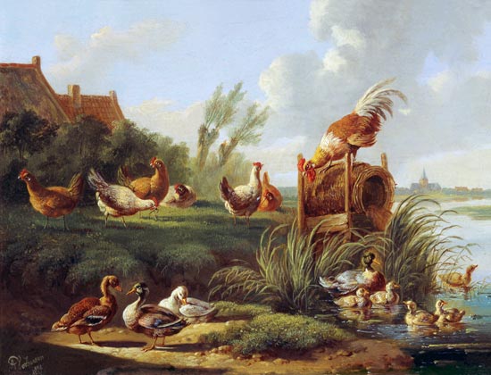 Ducks and Fowl on a Riverbank from Albertus Verhoesen