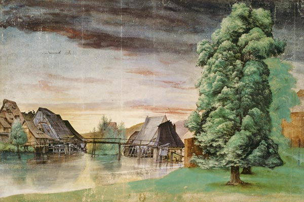 Die Weidenmühle from Albrecht Dürer