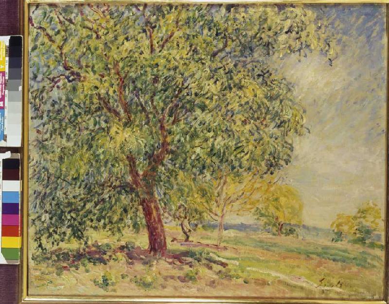 Nußbäume bei Sablons. from Alfred Sisley