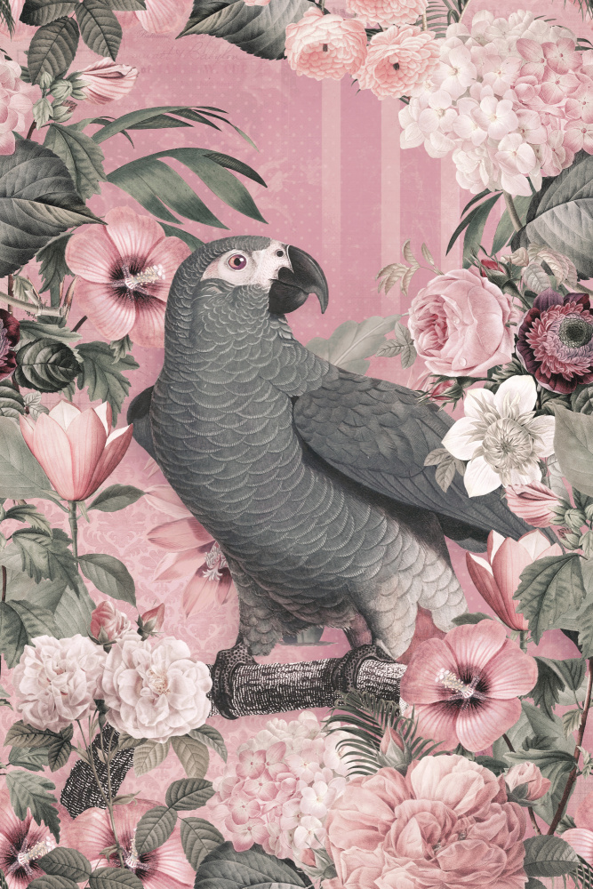 The Parrots Paradise Garden 2 Pastellrosa from Andrea Haase