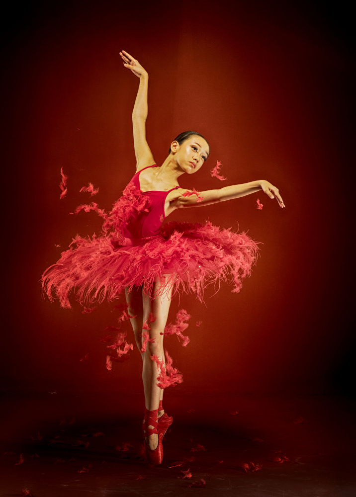Kleine Ballerina from Angela Muliani Hartojo