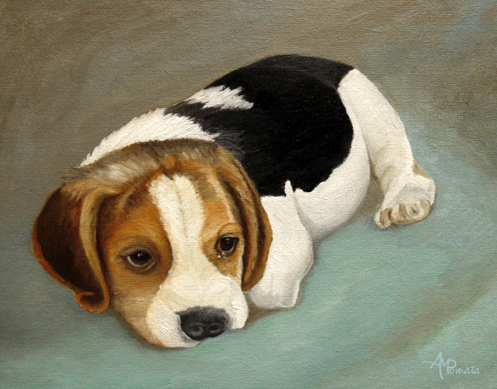 Süßer Beagle from Angeles M. Pomata
