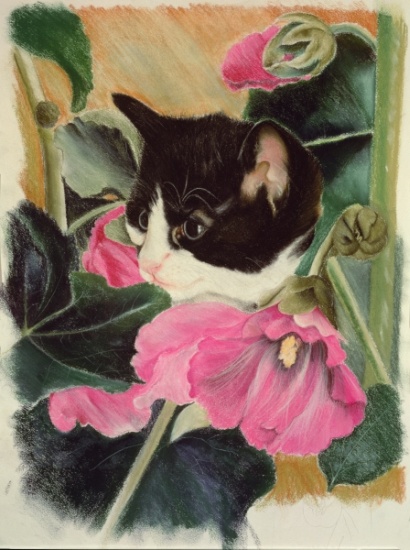 Kitten and hollyhocks from Anne  Robinson