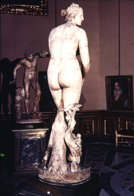 The Medici VenusGreek from Anonymous