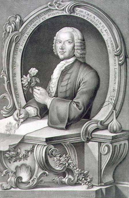 Portrait of Georg Dionysius Ehret (1710-70) engraved by Johann Jakob Haid (1704-67) from Anton Heckel