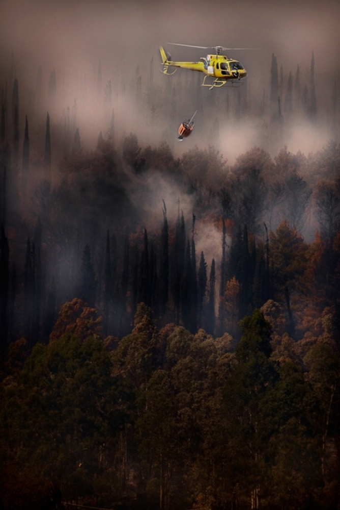 Feuer im Nationalpark Cilento – Italien from Antonio Grambone
