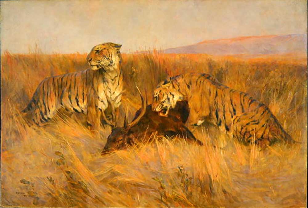 Tiger bei Kill from Arthur Wardle