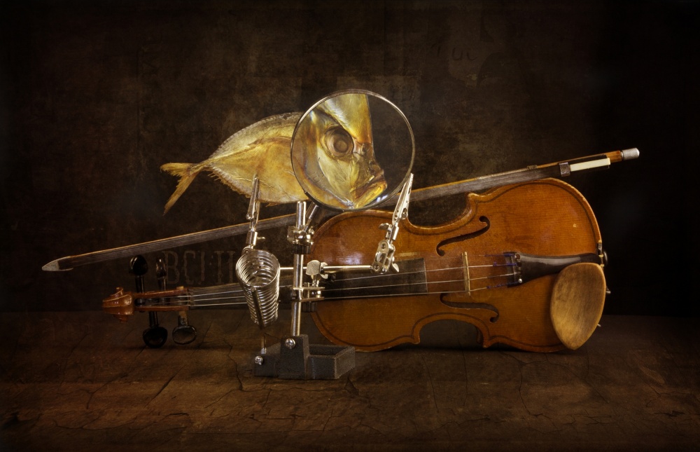 Fisch und Geige from Brig Barkow