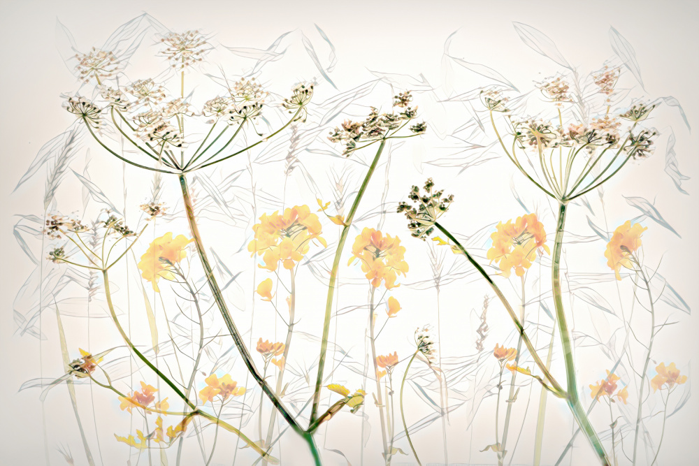 Frühlingsblumenkunst from brigitte van krimpen