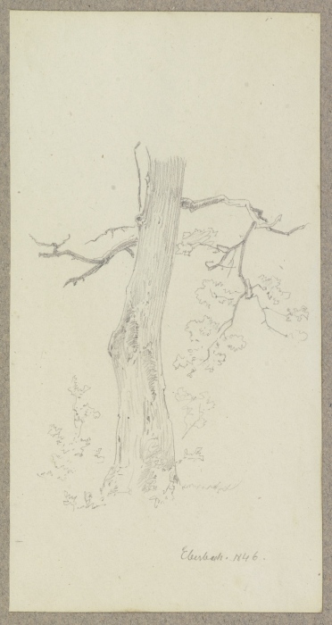 Baum bei Eberbach from Carl Theodor Reiffenstein