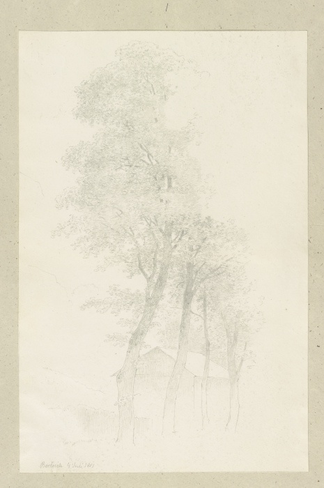 Ein Schuppen hinter einer Baumreihe bei Bertrich from Carl Theodor Reiffenstein