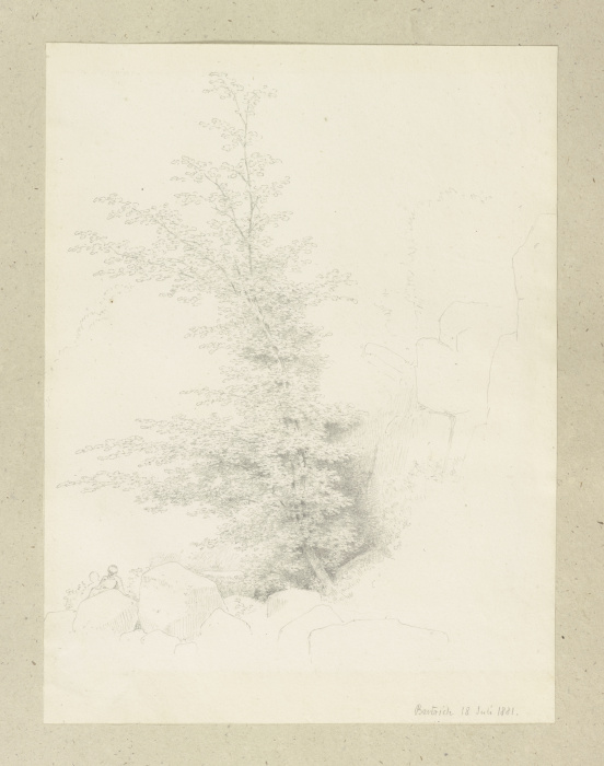 Junger Baum bei Bertrich from Carl Theodor Reiffenstein