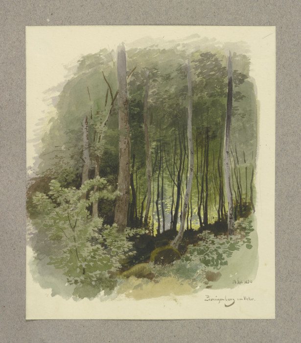 Wald bei Zwingenberg am Neckar from Carl Theodor Reiffenstein