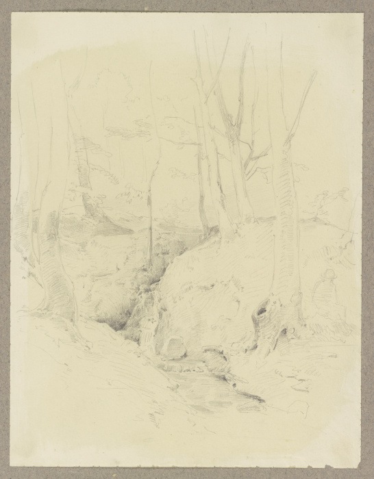 Wald, von einem Bach mit kleinem Wasserfall durchflossen, rechts ein sitzender Mann mit Hut from Carl Theodor Reiffenstein
