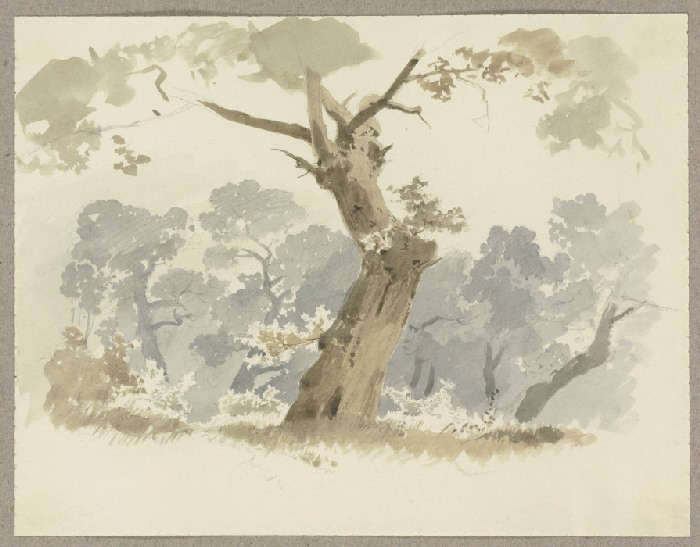 Waldpartie, im Vordergrund ein krumm gewachsener Baum from Carl Theodor Reiffenstein