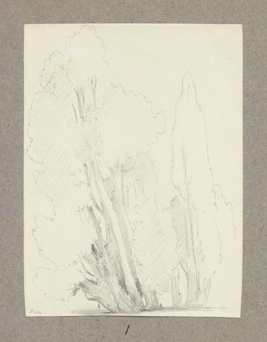 Zypressen in Rom from Carl Theodor Reiffenstein