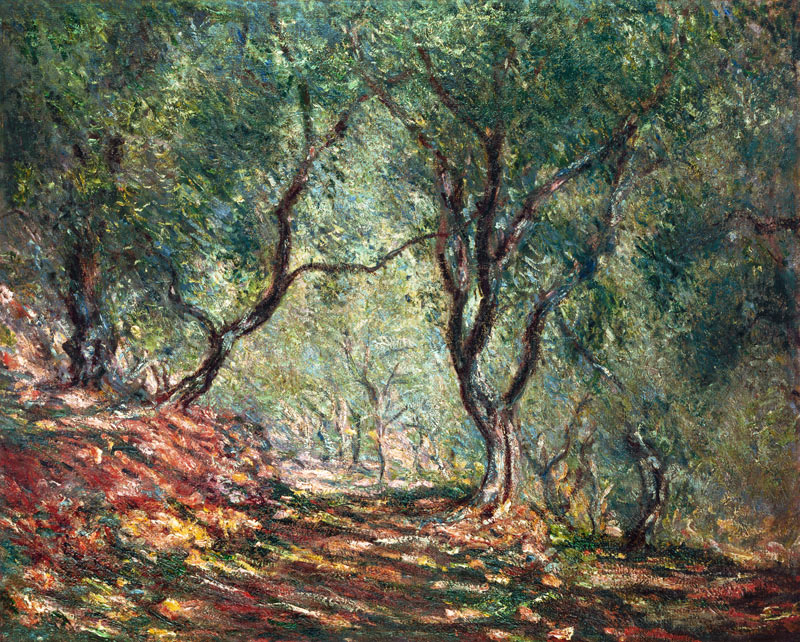 Olivenhain im Garten Moreno. from Claude Monet