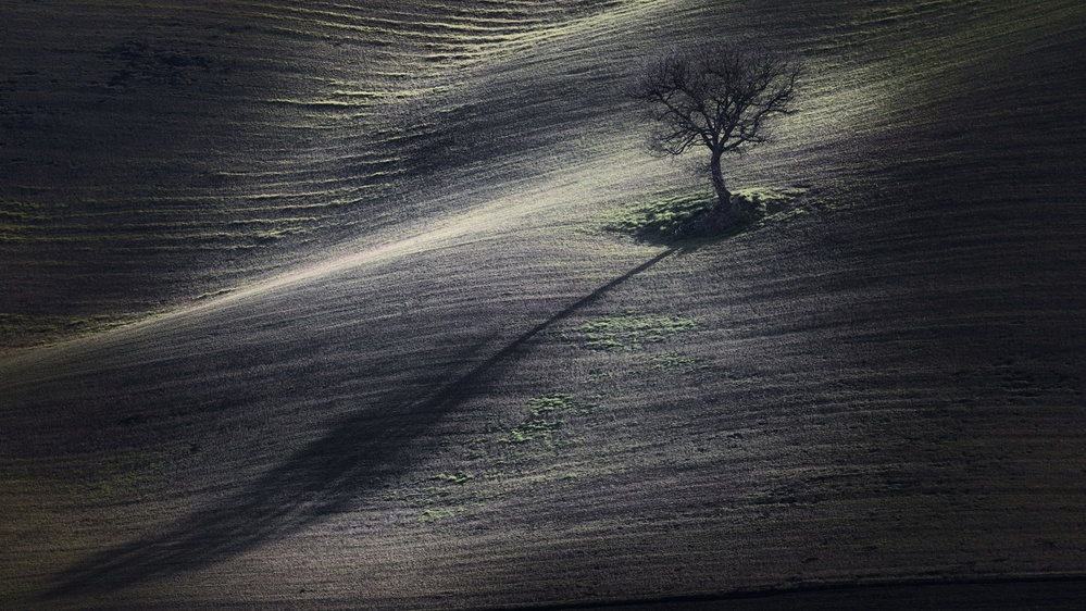 der lange Schatten from Claudio Moretti