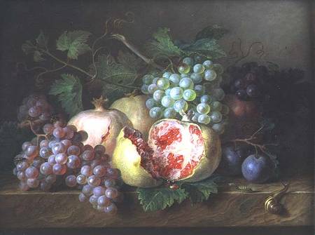 Still life of pomegranates, grapes and plums on a marble ledge from Cornelis van Spaendonck