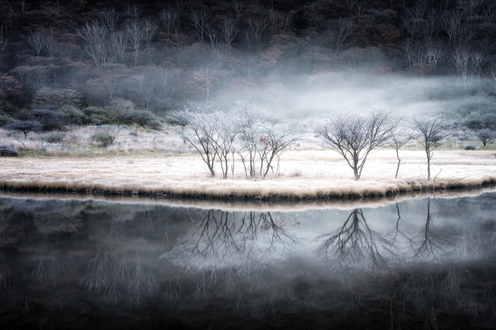 Zwischen Herbst und Winter from Daiki Suzuki
