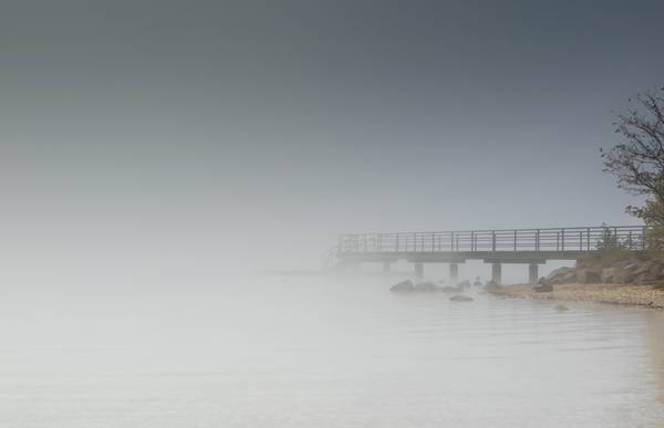Nebel und Steg am Cospudener See Leipzig from Dennis Wetzel