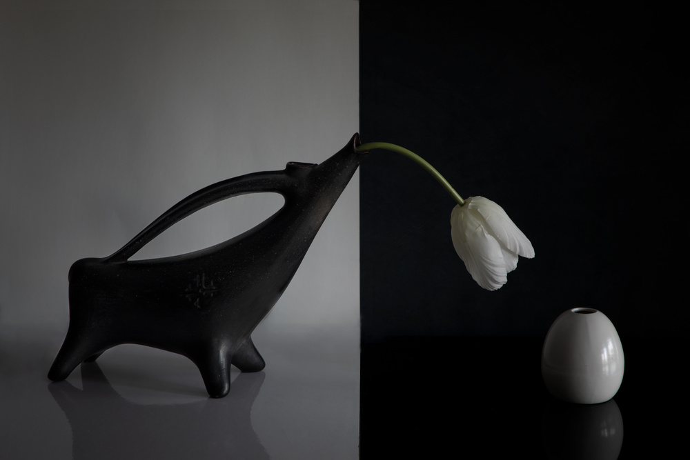Tulpen from Dennis Zhang
