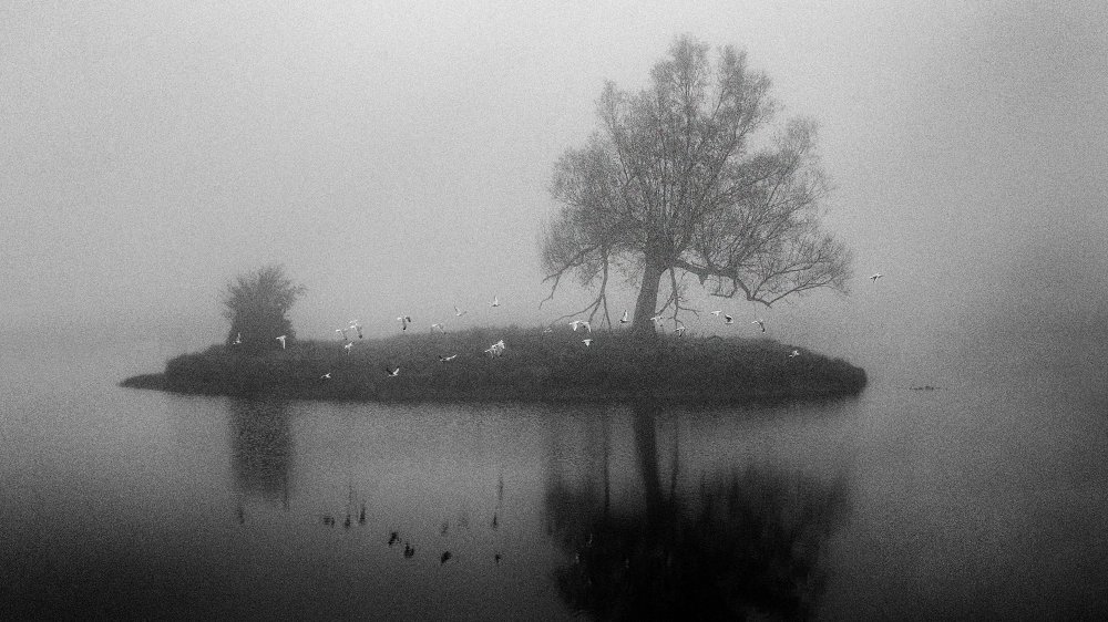 Eine kleine Insel im Nebel from Dusan Vukovic