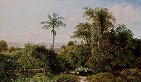 Kubanische Landschaft. from Edmund Darch Lewis