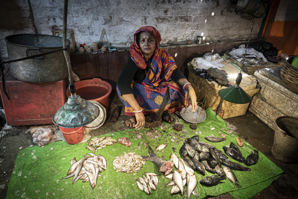 Fischmarkt in Kumartuli,Kalkutta from Elena Molina