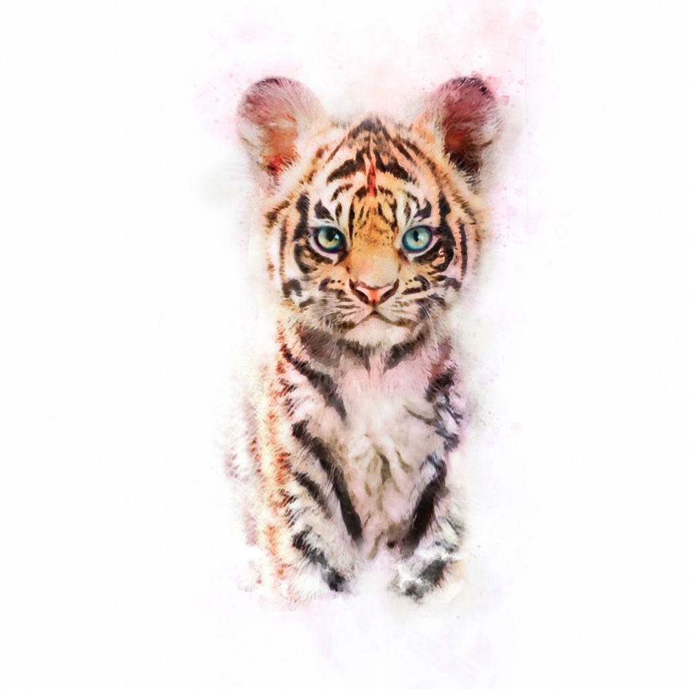 Baby-Tiger from Emel Tunaboylu