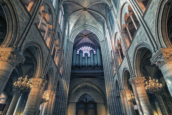 Inside Notre-Dame from emmanuel charlat