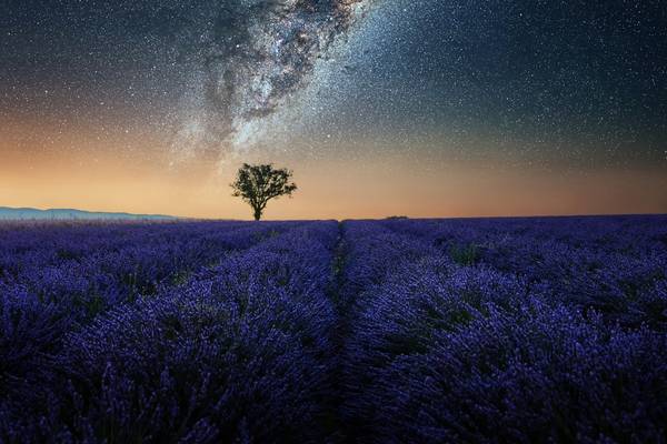 Night In Provence from emmanuel charlat
