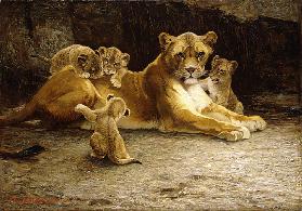Eine Löwin mit ihren Jungen, 1913