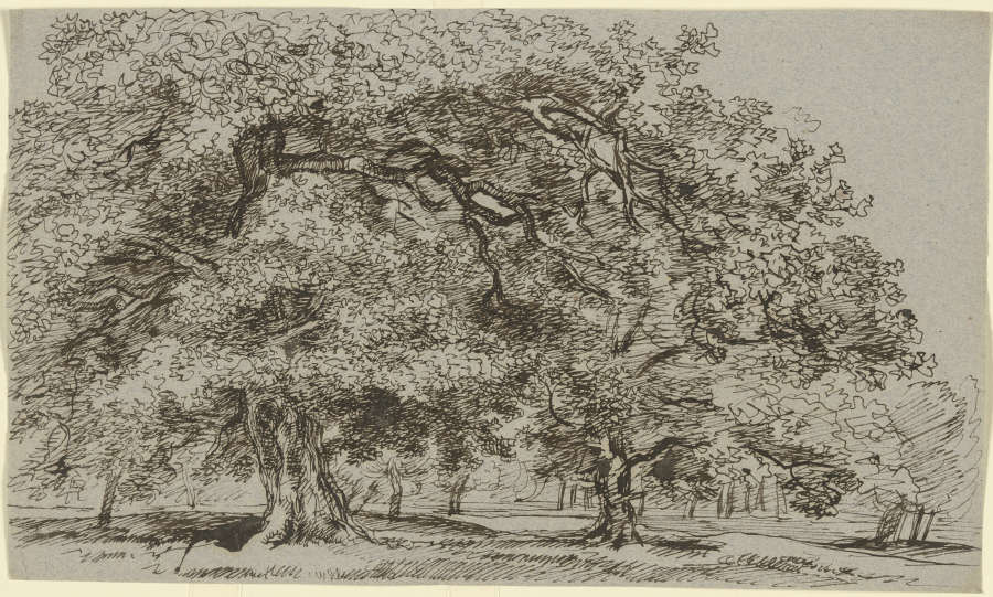Bäume auf einer Wiese from Franz Innocenz Josef Kobell