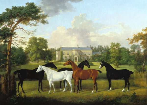 Fünf Rennpferde vor einem englischen Landhaus. from Frederick W. Keyl