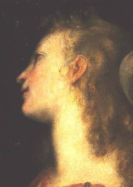 Head of an Angel from Frederico Barocci