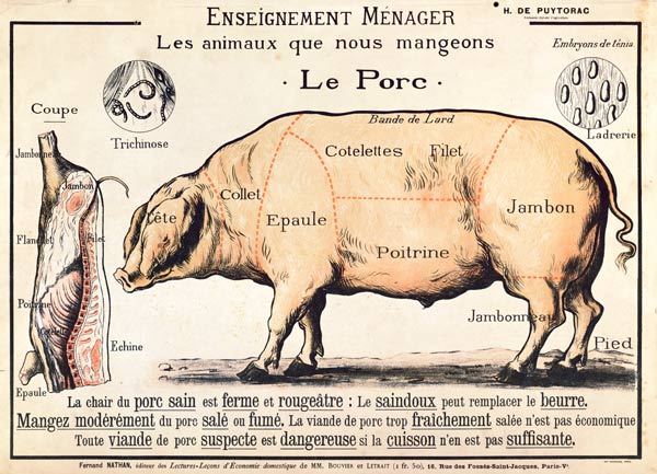 Cuts of Pork, illustration from a French Domestic Science Manual by H. de Puytorac, published by Edi from French School, (20th century)