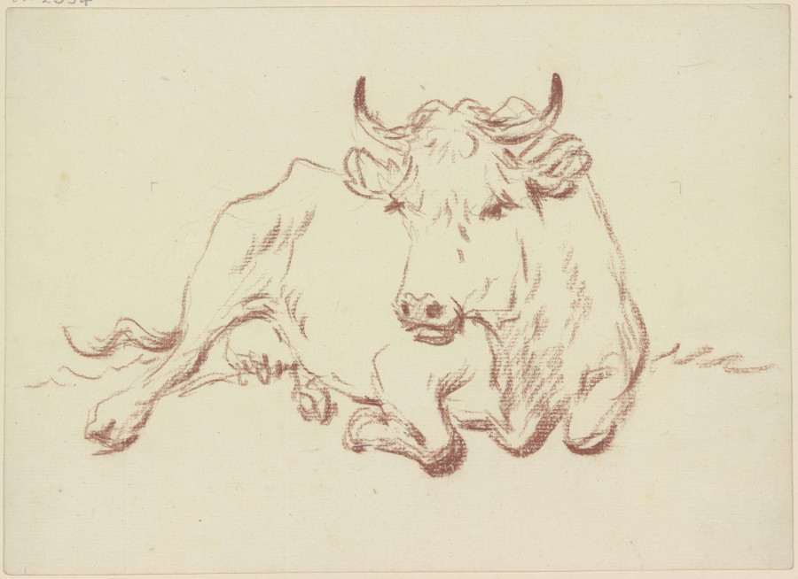 Liegende Kuh en face from Friedrich Wilhelm Hirt