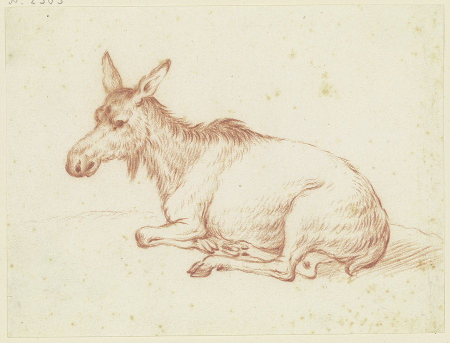 Liegender Esel nach links from Friedrich Wilhelm Hirt