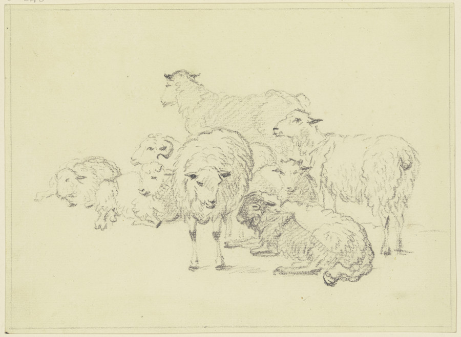Sieben Schafe from Friedrich Wilhelm Hirt