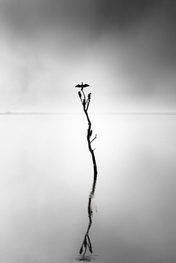 Axios Delta 044 from George Digalakis