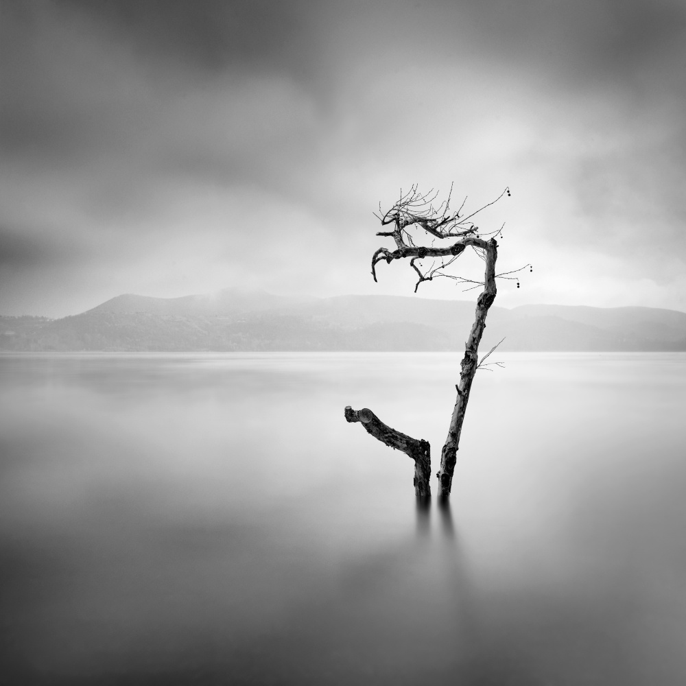 Flut from George Digalakis