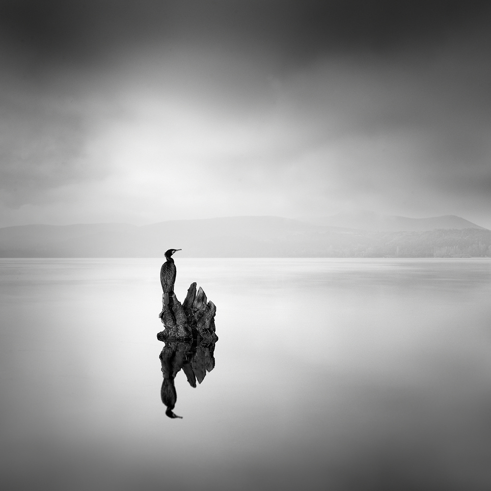 Kormoran 02 from George Digalakis