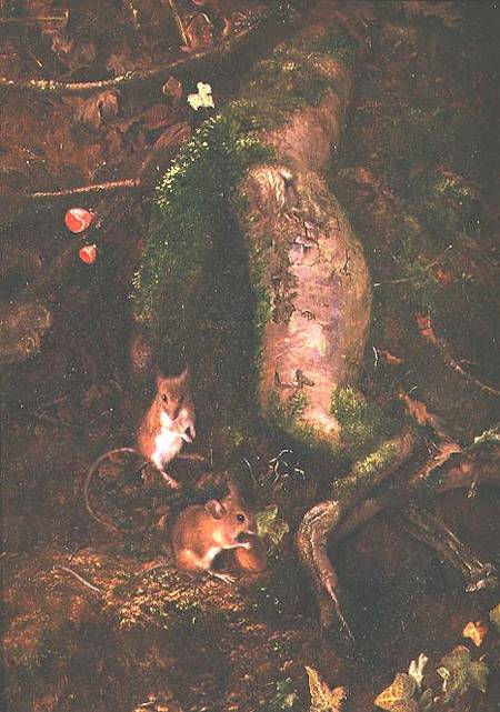 Field Mice at the Foot of a Tree (1876) from George Thomas Rope