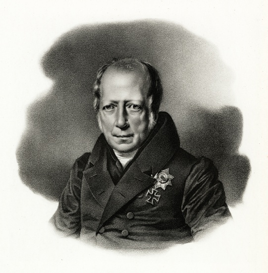 Wilhelm von Humboldt from German School, (19th century)