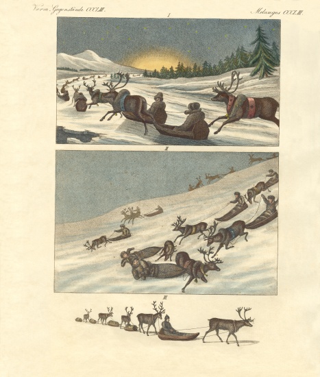 Winter trips in Lapland from German School, (19th century)