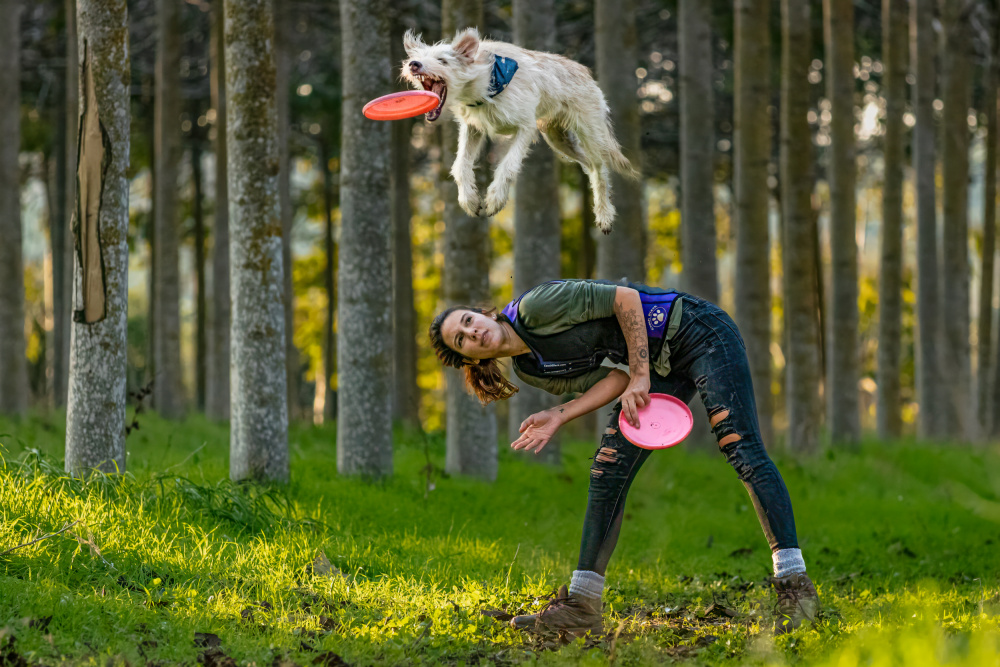 Hund und Frisbee from Gila