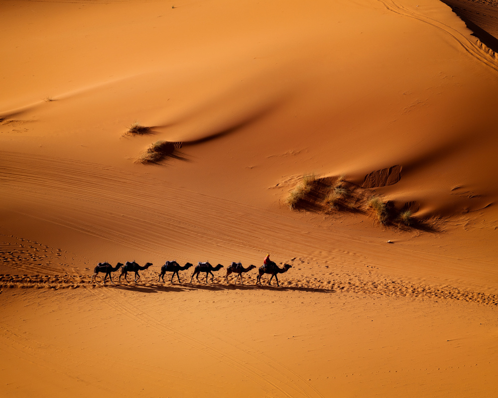 Marokko – die Stille der Erde from Gina Buliga