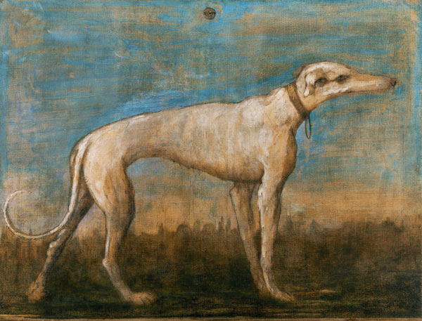 G.B.Tiepolo, Windhund from Giovanni Battista Tiepolo